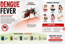 Dengue Dengue का खतरा बढ़ा: मानसून में सिर्फ डरना नहीं, मिलकर करना होगा मुकाबला; जानें सरकार और आम नागरिकों की जिम्मेदारी