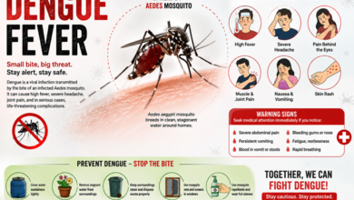 Dengue Dengue का खतरा बढ़ा: मानसून में सिर्फ डरना नहीं, मिलकर करना होगा मुकाबला; जानें सरकार और आम नागरिकों की जिम्मेदारी