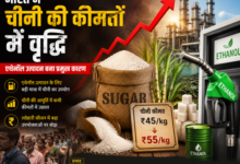 चीनी की कीमतों में तेज उछाल: एथेनॉल नीति का असर, सरकार के कदम और आम उपभोक्ता पर प्रभाव 2 sugar price hike चीनी की कीमतों में तेज उछाल: एथेनॉल नीति का असर, सरकार के कदम और आम उपभोक्ता पर प्रभाव