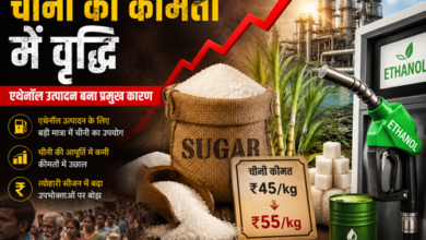 चीनी की कीमतों में तेज उछाल: एथेनॉल नीति का असर, सरकार के कदम और आम उपभोक्ता पर प्रभाव 34 sugar price hike चीनी की कीमतों में तेज उछाल: एथेनॉल नीति का असर, सरकार के कदम और आम उपभोक्ता पर प्रभाव