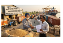 wheat export free किसानों और कारोबारियों को बड़ी राहत: अब वैश्विक बाजार में फिर से पहुंचेगा भारतीय गेहूं और आटा